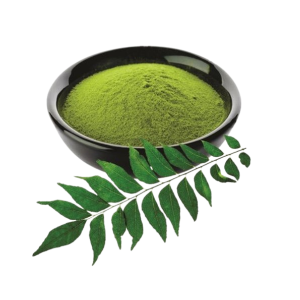 Curry Leaves Powder 13G
