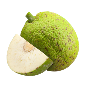 Bread Fruit